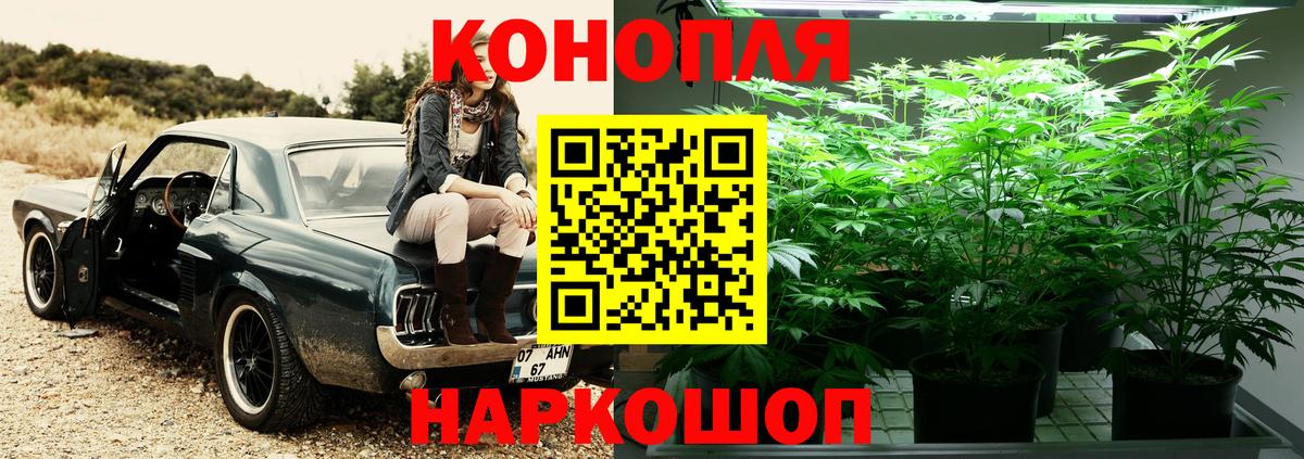 Канабис сатива  Марихуана план  Кропоткин  Каннабис Ganja  Конопля сатива  Вход с VPN 